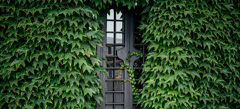 Garden Gate Repair in Delray Beach, FL