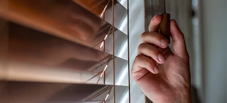 Double Roller Blinds in Delray Beach, FL