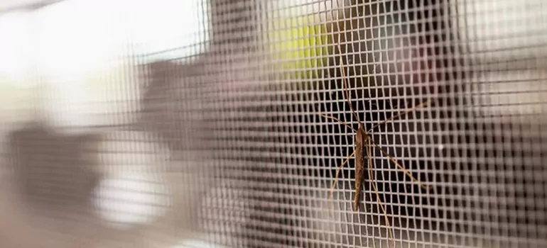 Repair Mosquito Mesh For Windows in Delray Beach, FL