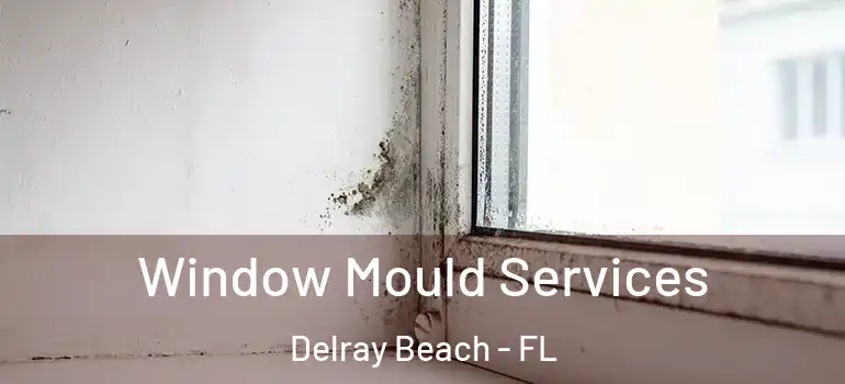  Window Mould Services Delray Beach - FL